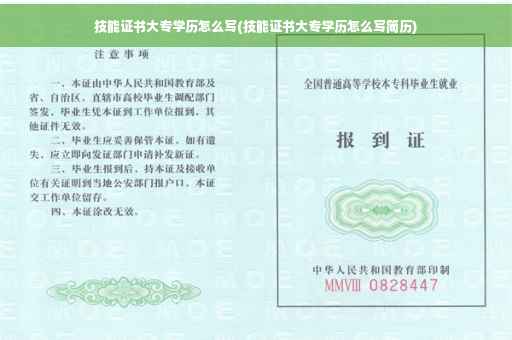 技能证书大专学历怎么写(技能证书大专学历怎么写简历)