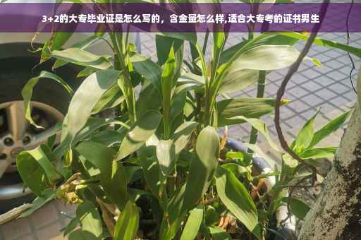 3+2的大专毕业证是怎么写的，含金量怎么样,适合大专考的证书男生