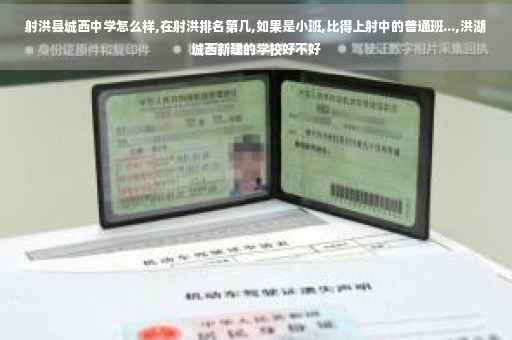 射洪县城西中学怎么样,在射洪排名第几,如果是小班,比得上射中的普通班...,洪湖城西新建的学校好不好 射洪县城西中学怎么样,在射洪排名第几,如果是小班,比得上射中的普通班...,洪湖城西新建的学校好不好