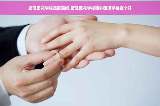菏泽国花学校是职高吗,菏泽国花学校和外国语学校哪个好