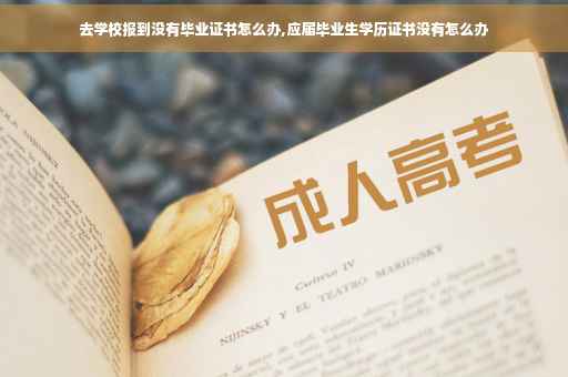 去学校报到没有毕业证书怎么办,应届毕业生学历证书没有怎么办
