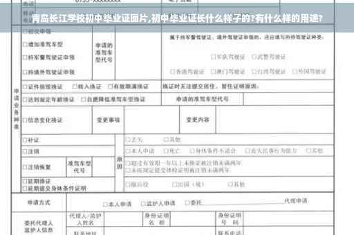 青岛长江学校初中毕业证图片,初中毕业证长什么样子的?有什么样的用途?