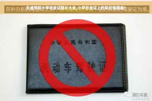 天成学校小学毕业证图片大全,小学毕业证上的奖状有哪些?