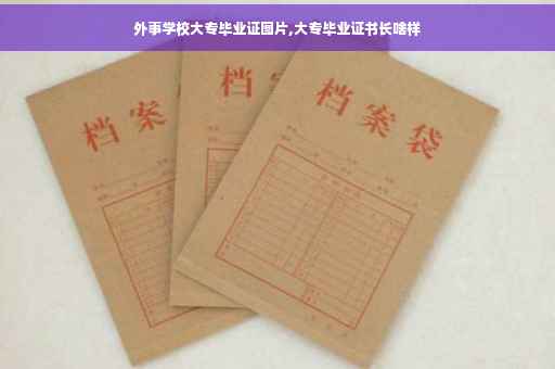 外事学校大专毕业证图片,大专毕业证书长啥样