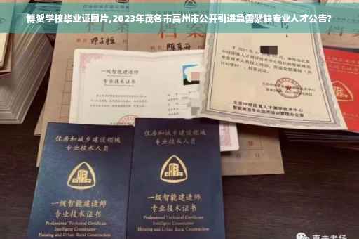 博贺学校毕业证图片,2023年茂名市高州市公开引进急需紧缺专业人才公告?
