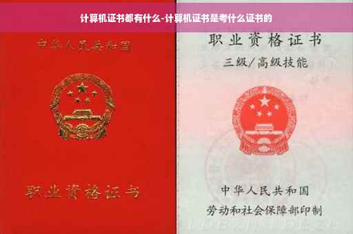 计算机证书都有什么-计算机证书是考什么证书的