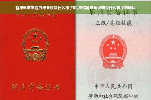 新华电脑学院的毕业证是什么样子的,学信网学历证明是什么样子的图片