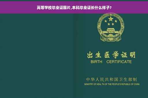 高等学校毕业证图片,本科毕业证长什么样子?