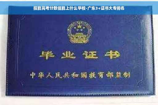 技能高考分数低能上什么学校-广东3+证书大专排名