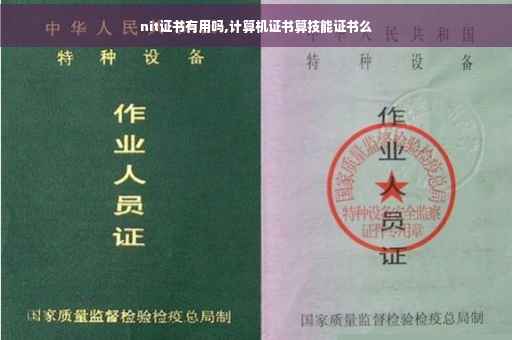 nit证书有用吗,计算机证书算技能证书么