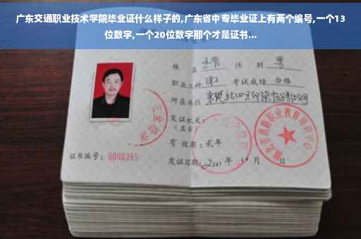 广东交通职业技术学院毕业证什么样子的,广东省中专毕业证上有两个编号,一个13位数字,一个20位数字那个才是证书... 广东交通职业技术学院毕业证什么样子的,广东省中专毕业证上有两个编号,一个13位数字,一个20位数字那个才是证书...
