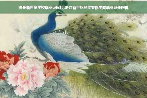 滕州新世纪学校毕业证图片,浙江新世纪经贸专修学院毕业证长啥样