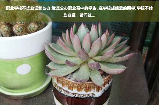 职业学校不毕业证怎么办,我是公办职业高中的学生 ,在学校成绩差的同学,学校不给毕业证。请问这...
