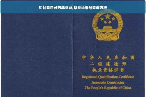 如何查自己的毕业证,毕业证编号查询方法