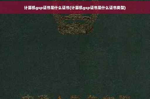 计算机gsp证书是什么证书(计算机gsp证书是什么证书类型)