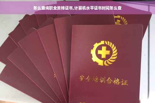 怎么查询职业资格证书,计算机水平证书时间怎么查