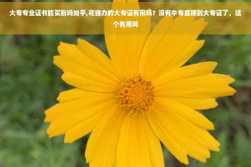 大专专业证书能买到吗知乎,花钱办的大专证有用吗？没有中专直接到大专证了，这个有用吗