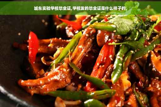 城东实验学校毕业证,学校发的毕业证是什么样子的,