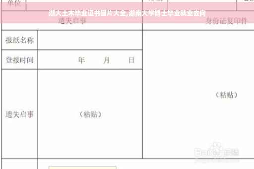 湖大土木毕业证书图片大全,湖南大学博士毕业就业去向