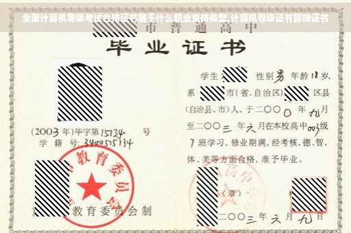 全国计算机等级考试合格证书属于什么职业资格类型,计算机等级证书算啥证书