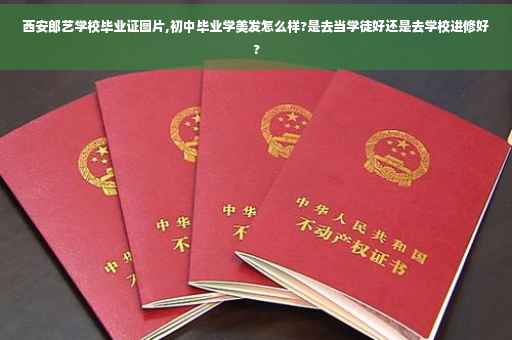 西安郎艺学校毕业证图片,初中毕业学美发怎么样?是去当学徒好还是去学校进修好?