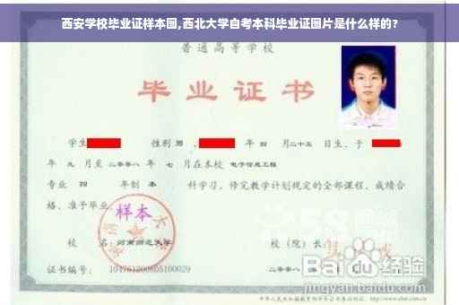 西安学校毕业证样本图,西北大学自考本科毕业证图片是什么样的?