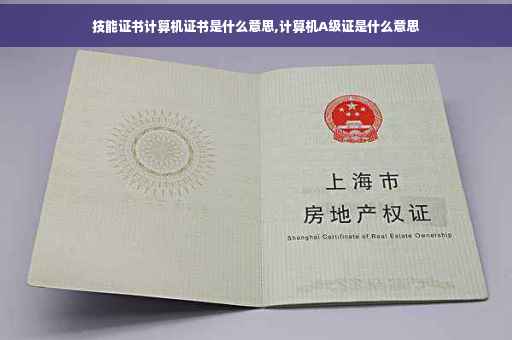 技能证书计算机证书是什么意思,计算机A级证是什么意思