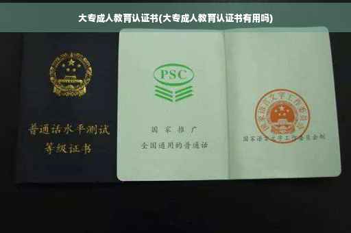 大专成人教育认证书(大专成人教育认证书有用吗)