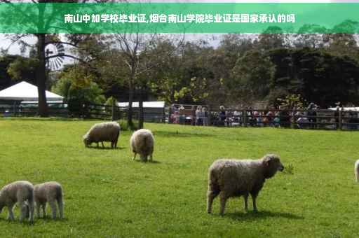南山中加学校毕业证,烟台南山学院毕业证是国家承认的吗