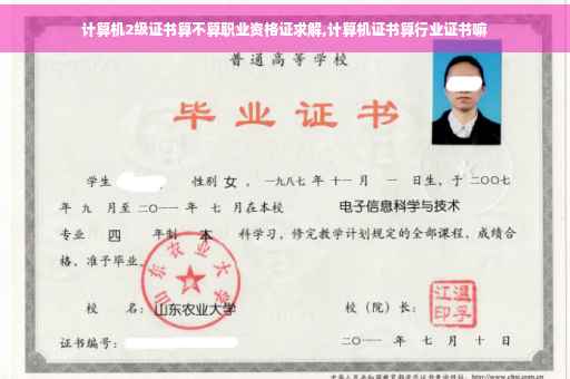 计算机2级证书算不算职业资格证求解,计算机证书算行业证书嘛