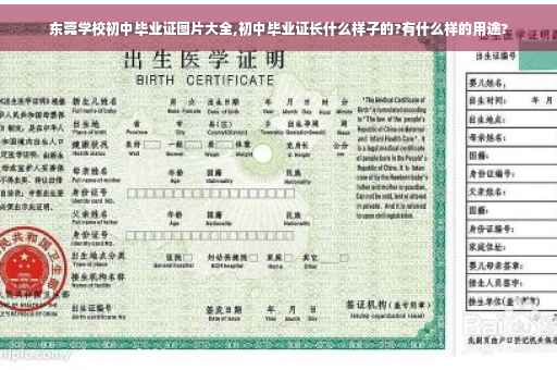东莞学校初中毕业证图片大全,初中毕业证长什么样子的?有什么样的用途?