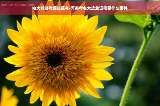 电大能够考哪些证书-河南考电大毕业证需要什么条件