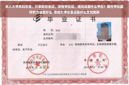 本人大学本科毕业，只拿到毕业证，没有学位证，请问这算什么学历？提升学历最好的方法是什么-没有大学毕业证算什么文凭类别