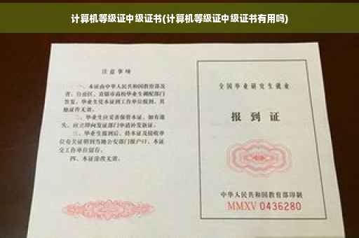 计算机等级证中级证书(计算机等级证中级证书有用吗)