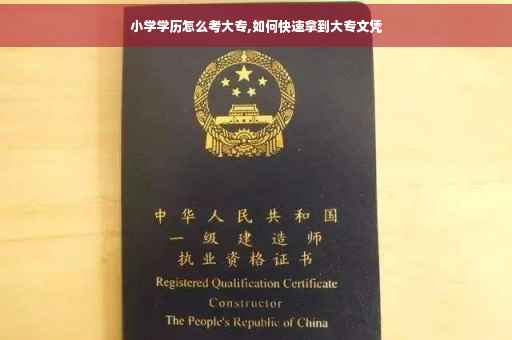 小学学历怎么考大专,如何快速拿到大专文凭