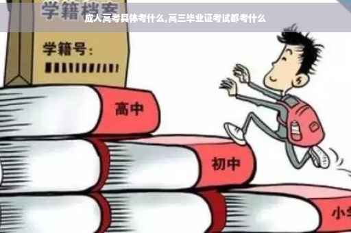 成人高考具体考什么,高三毕业证考试都考什么