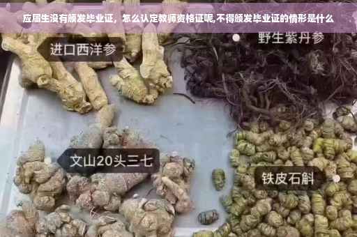 应届生没有颁发毕业证，怎么认定教师资格证呢,不得颁发毕业证的情形是什么