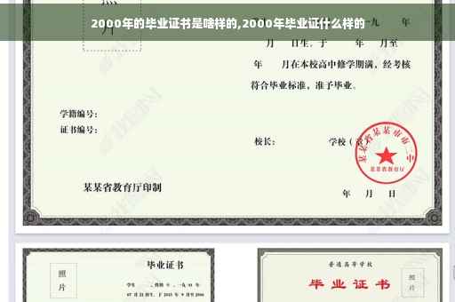 2000年的毕业证书是啥样的,2000年毕业证什么样的