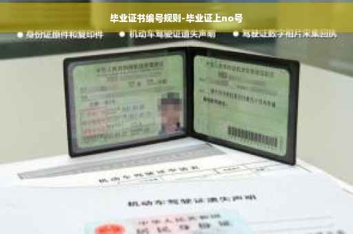 毕业证书编号规则-毕业证上no号