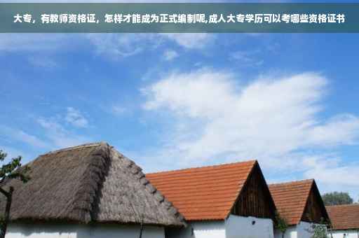 大专，有教师资格证，怎样才能成为正式编制呢,成人大专学历可以考哪些资格证书