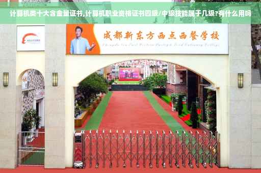 计算机类十大含金量证书,计算机职业资格证书四级/中级技能属于几级?有什么用吗