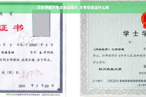 万合学校大专毕业证图片,大专毕业证什么样