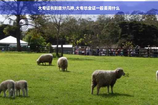 大专证书到底分几种,大专毕业证一般要用什么