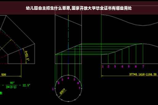 幼儿园自主招生什么意思,国家开放大学毕业证书有哪些用处