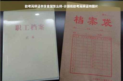 软考高级证书含金量怎么样-计算机软考高级证书图片