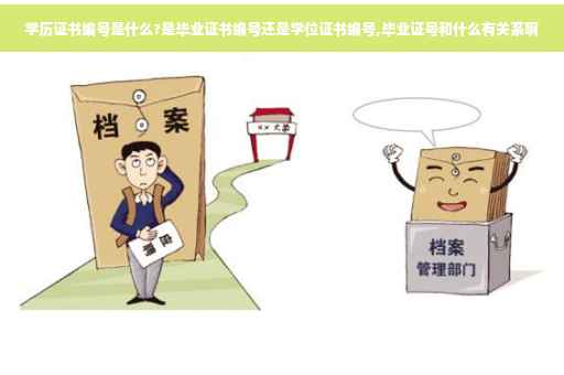 学历证书编号是什么?是毕业证书编号还是学位证书编号,毕业证号和什么有关系啊