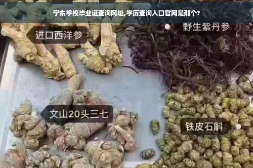 宁东学校毕业证查询网址,学历查询入口官网是那个?