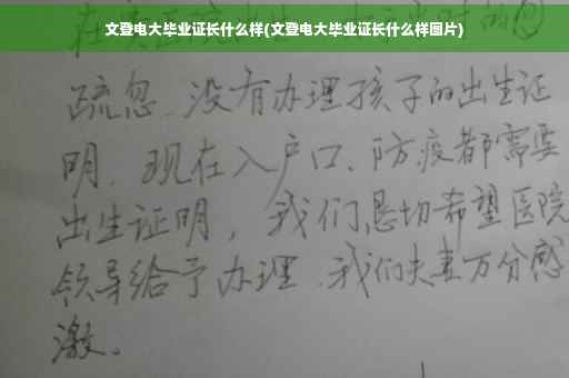 文登电大毕业证长什么样(文登电大毕业证长什么样图片)
