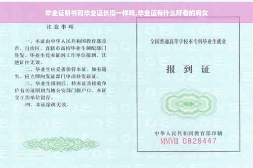 毕业证明书和毕业证长得一样吗,毕业证有什么好看的吗女