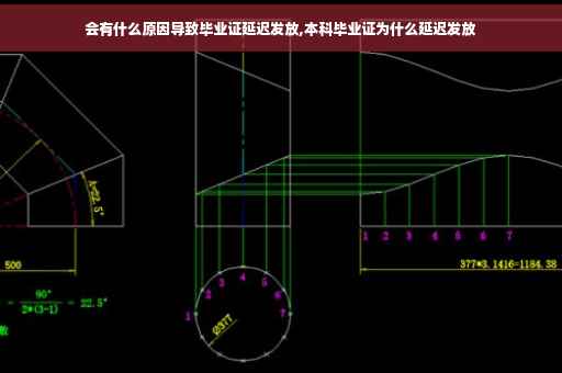 会有什么原因导致毕业证延迟发放,本科毕业证为什么延迟发放